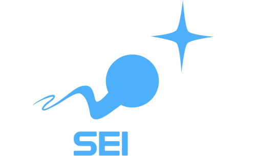 Renseigames logo light